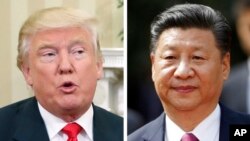 美国总统川普(左),中国国家主席习近平