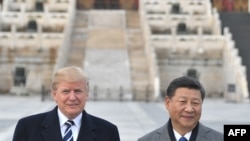 美国总统特朗普和中国国家主席习近平在北京故宫合影。(2017年11月8日)