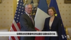 马蒂斯访问巴黎重申支持法国在马里的反恐行动 马蒂斯访问巴黎重申支持法国在马里的反恐行动