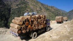 သစ်တော ပြုစုထိန်းသိမ်းရေး သစ်တော ပြုစုထိန်းသိမ်းရေး