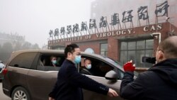 世卫组织新冠病毒源头调查组前往武汉的中国科学院病毒研究所。 (2021年2月3日)