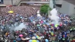 香港立法会选举投票创新高 新生代胜出 香港立法会选举投票创新高 新生代胜出