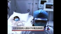 北京发现首例人感染H7N9禽流感病例 北京发现首例人感染H7N9禽流感病例