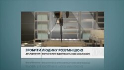 Вікно в Америку. Квіти на закуску. Дізнайтесь з чим смакують фіалки. Вікно в Америку. Квіти на закуску. Дізнайтесь з чим смакують фіалки.