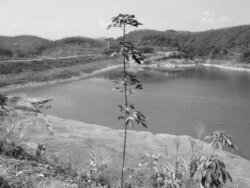 当年莉莉上山下乡所在云南西双版纳景洪农场水利兵团修筑水坝的地方(莉莉提供图片)