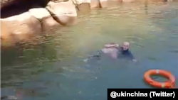 英国驻中国重庆总领事史云森从水中救起一名落水的年轻女孩。(英国驻中国大使馆推特视频截图)