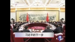 2014亚太安全热点(1):习近平的下一步 2014亚太安全热点(1):习近平的下一步