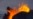 16x9 Image