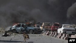 一条狗跑过汽车炸弹袭击的爆炸现场。(2017年5月31日)