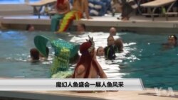 魔幻人鱼盛会一展人鱼风采 魔幻人鱼盛会一展人鱼风采
