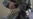 Al-Qaida, IS Set to Reconstitute in Afghanistan, Beyond