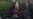 16x9 Image