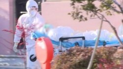VOA英语视频: 麻省理工学院研究表明洗手对遏制病毒至关重要 VOA英语视频: 麻省理工学院研究表明洗手对遏制病毒至关重要