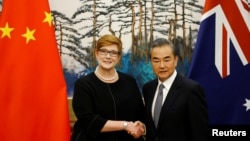 澳大利亚外长佩恩和中国外长王毅在北京钓鱼台国宾馆举行记者会时握手。(2018年11月8日)
