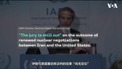 国际原子能机构负责人:美伊核谈判“尚无定论”  国际原子能机构负责人:美伊核谈判“尚无定论”