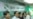香港民主党公布与中央政府对话细节
