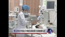 世卫关注中国过半禽流感病患无接触禽鸟史 世卫关注中国过半禽流感病患无接触禽鸟史
