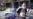 16x9 Image