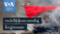 ကယ်လီဖိုးနီးယား တောမီးနဲ့ မီးလျှံတားဆေး
 ကယ်လီဖိုးနီးယား တောမီးနဲ့ မီးလျှံတားဆေး