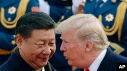特朗普总统和习近平主席在北京(2017年11月9日)