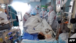 Bệnh nhân nhiễm virut cúm gia cầm H7N9 đang được điều trị tại một bệnh viện thuộc Vũ Hán, ngày 12 tháng 02 năm 2017.