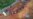 16x9 Image