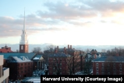 哈佛大学(Harvard University)校园(哈佛大学新闻办拍摄)