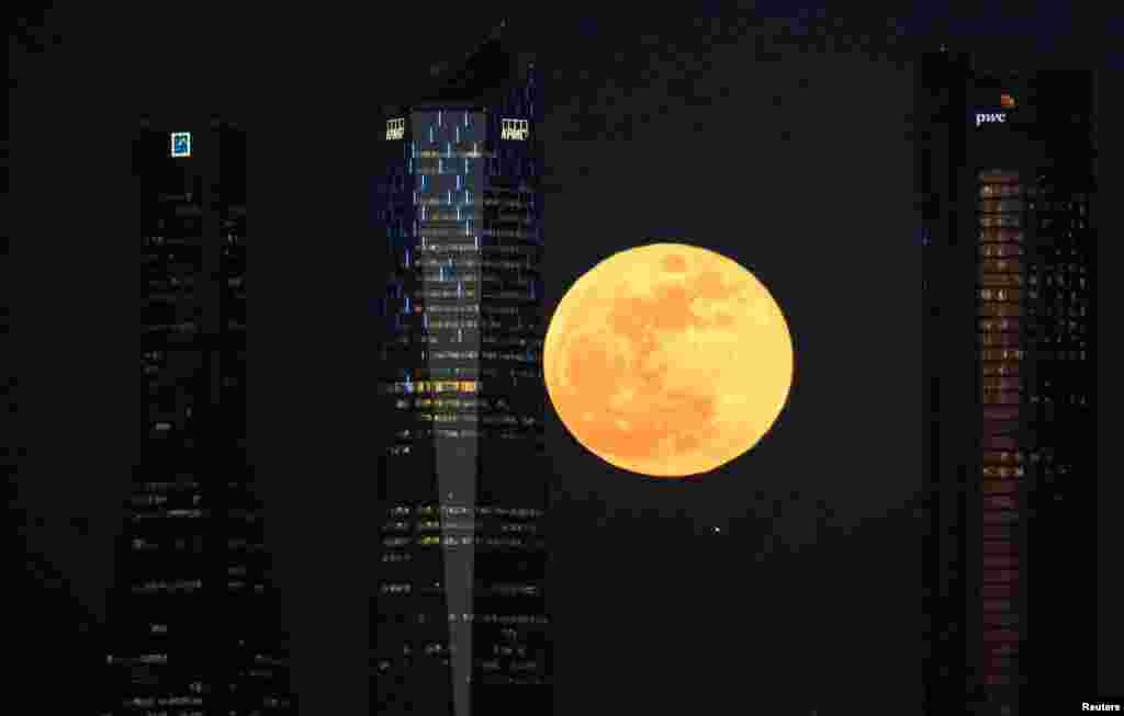 2018年1月31日,在西班牙马德里的一处摩天大楼地区的四座塔楼之间,金黄色的“超级满月”升起。
