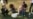 16x9 Image