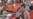 16x9 Image