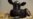 16x9 Image