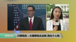 VOA连线:川普税改:大幅降低企业税 简化个人税 VOA连线:川普税改:大幅降低企业税 简化个人税