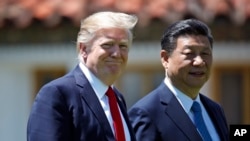 美国总统川普与中国国家主席习近平在海湖庄园散步(2017年4月7日)