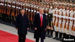 资料照:中国领导人习近平在中国北京人民大会堂为美国时任总统唐纳德特朗普举行欢迎仪式。(2017年11月9日)