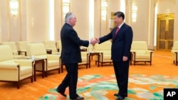 中国主席习近平和美国国务卿蒂勒森在北京人民大会堂会晤(2017年3月19日)