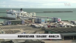 英国和欧盟为英国“无协议脱欧”做准备工作 英国和欧盟为英国“无协议脱欧”做准备工作