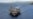 တောင်တရုတ်ပင်လယ်ထဲ USS Theodore Roosevelt စစ်သင်္ဘောအုပ်စု ဝင်ရောက်