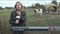 ФАП у Боденьках – “перша ластівка” медичної реформи на селі. Відео ФАП у Боденьках – “перша ластівка” медичної реформи на селі. Відео