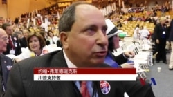 美国大选:党代表是如何炼成的 美国大选:党代表是如何炼成的