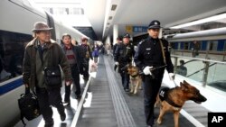 资料照:中国武警在深圳火车站巡逻。 (2009年1月2日)