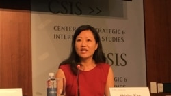 资料照片:前美国国会研究处亚太安全事务研究员简淑贤参加《台湾关系法》40年座谈会 (2019年4月9日)