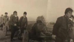 1970年代中期,王平(后边戴帽推车者)与其他知青为农田送粪肥(王平提供图片)