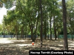 "Вулик" із 23 контейнерів у лісі