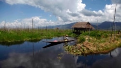ရေဘေးဒဏ် ပြန်လည်ထူထောင်ရေး ရုန်းကန်နေတဲ့ အင်းလေး
  ရေဘေးဒဏ် ပြန်လည်ထူထောင်ရေး ရုန်းကန်နေတဲ့ အင်းလေး