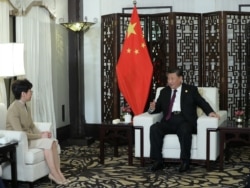中国国家主席习近平在上海接见香港特首林郑月娥。(2019年11月4日)