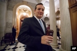 美国参议员克鲁兹(Ted Cruz)离开参议院议事厅(2017年2月3日)