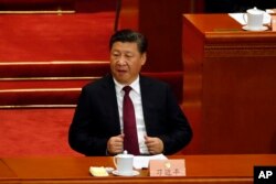 中国主席习近平在中国政协大会开幕式上(2017年3月3日)