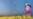 16x9 Image