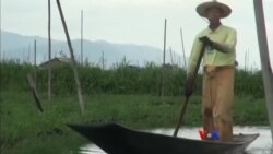 အင်းလေးကန် ညစ်ညမ်းမှုနဲ့ တိမ်ကောနိုင်တဲ့အန္တရာယ် အင်းလေးကန် ညစ်ညမ်းမှုနဲ့ တိမ်ကောနိုင်တဲ့အန္တရာယ်