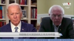 特朗普反对派团结民主党支持拜登 特朗普反对派团结民主党支持拜登